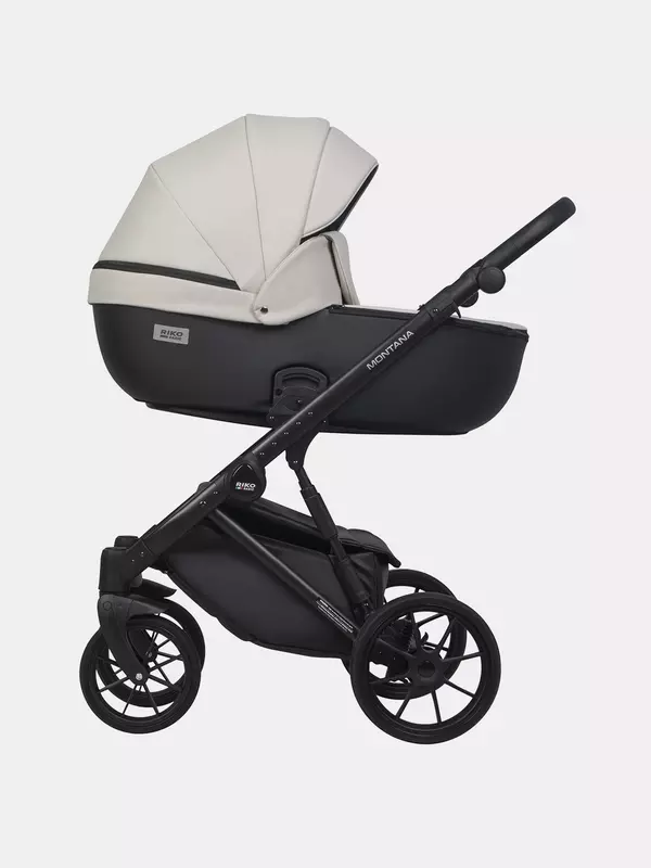 Коляска 2 в 1 Riko Basic Montana Ecco 31 Light Silver-Black